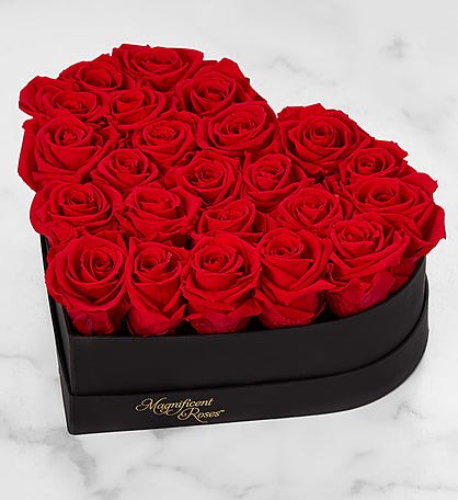Magnificent Roses® Preserved Red Heart & Necklace